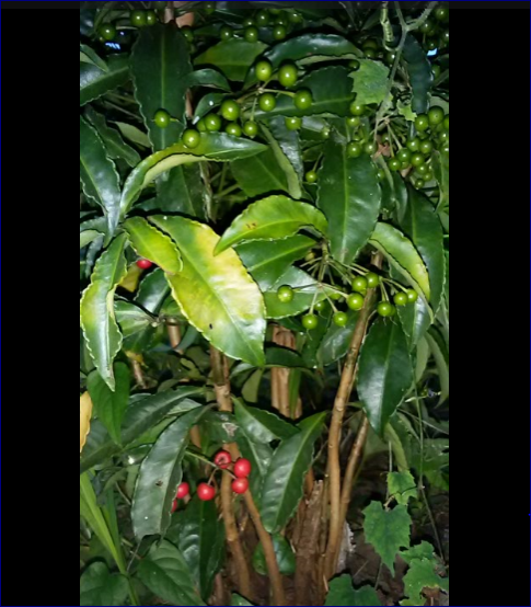f0231709_1927892.png