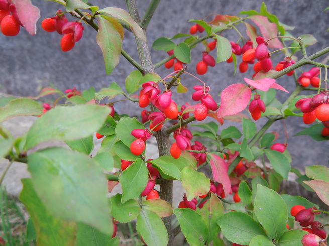 f0297809_0165628.jpg