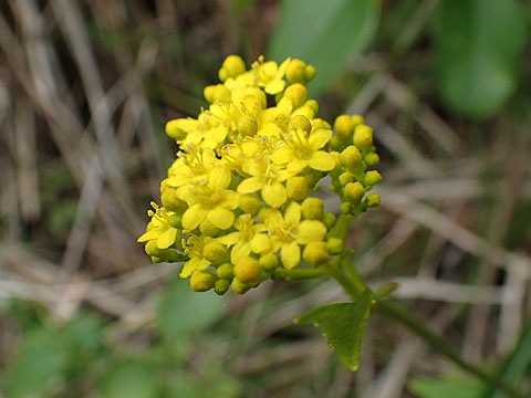 e0293913_23145842.jpg