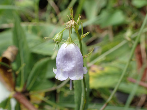 e0293913_23153454.jpg