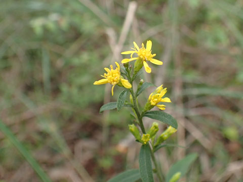 e0293913_2316217.jpg