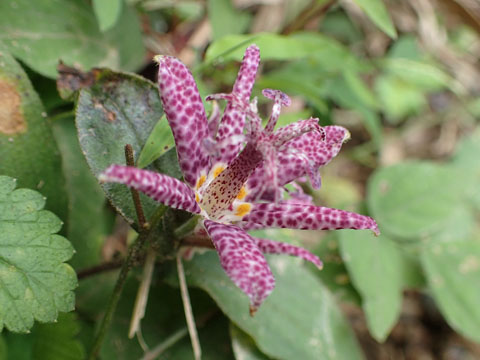 e0293913_23163541.jpg