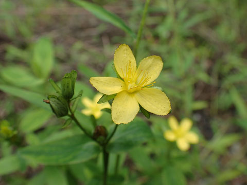 e0293913_2317253.jpg