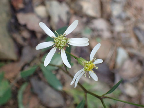e0293913_23174583.jpg