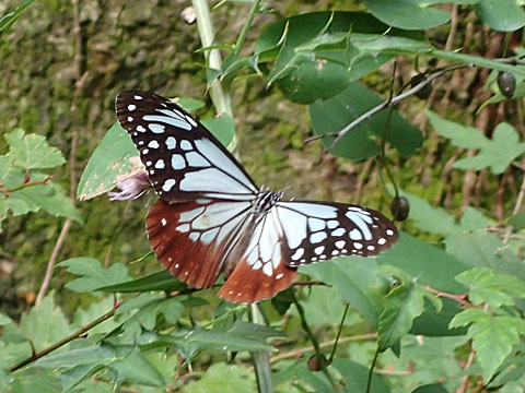 e0293913_23185170.jpg