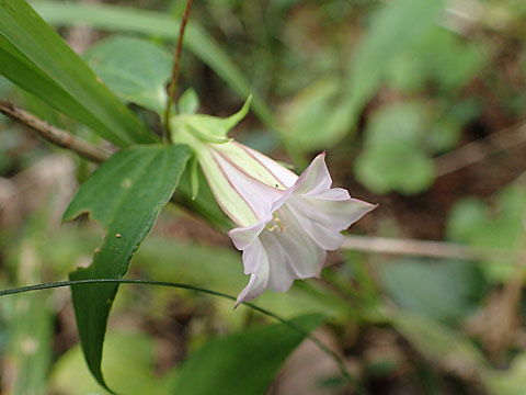 e0293913_23203158.jpg
