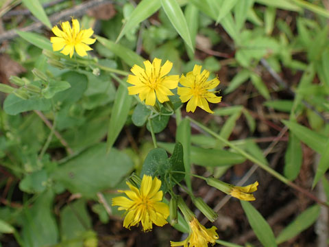 e0293913_2327562.jpg