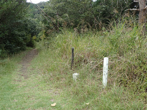 e0293913_233278.jpg