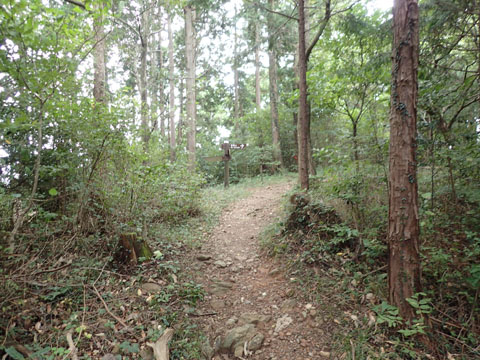 e0293913_2344120.jpg
