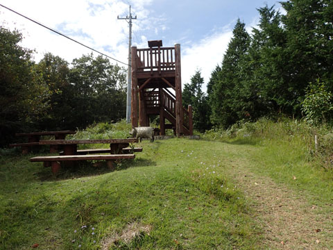 e0293913_2354087.jpg
