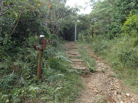 e0293913_237439.jpg
