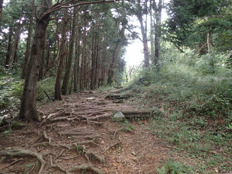 １０月の富幕山_e0293913_2381064.jpg