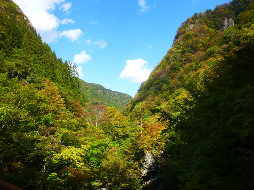 a0236914_583048.jpg