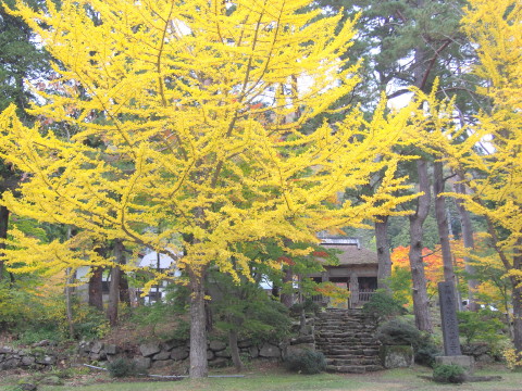 黒森山浄仙寺の紅葉とドーナツ(黒石市)*2016.10.25_b0147224_1065913.jpg