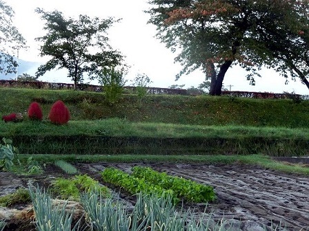 e0234924_09042527.jpg