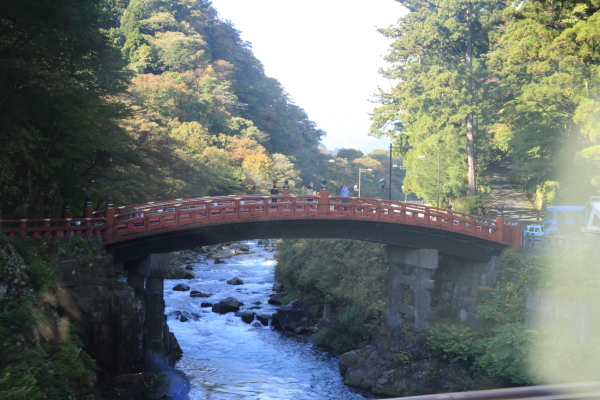 f0229832_09385365.jpg