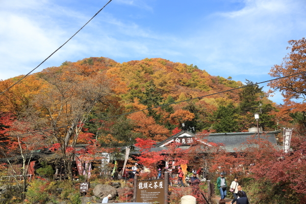 f0229832_09452523.jpg