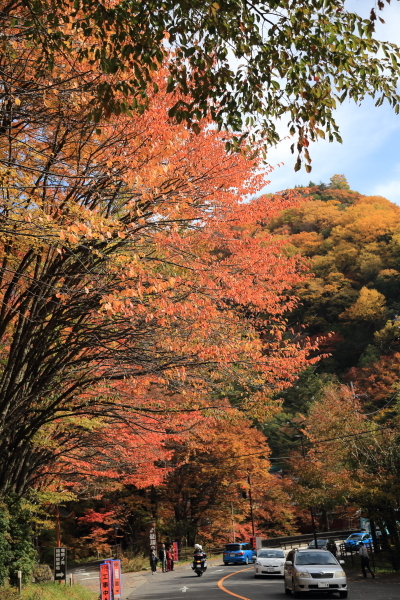 f0229832_09463151.jpg