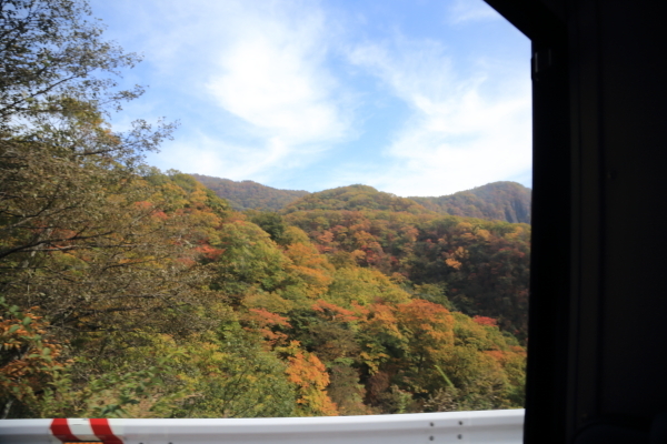 f0229832_09480358.jpg