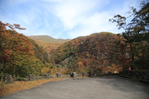 f0229832_09481763.jpg