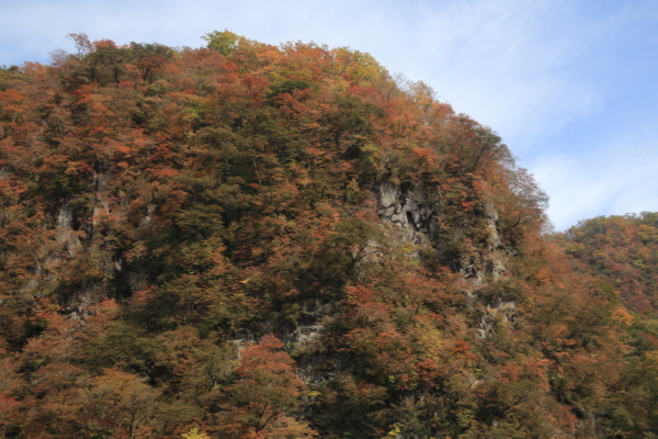 f0229832_09484593.jpg