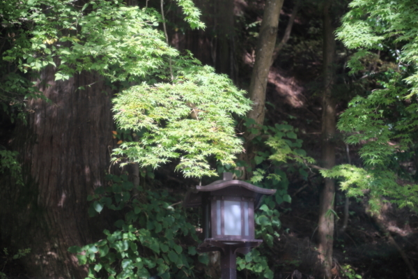 f0229832_09500614.jpg