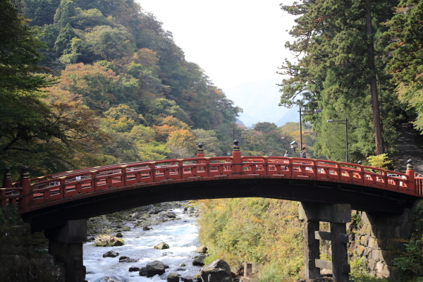 f0229832_09502717.jpg
