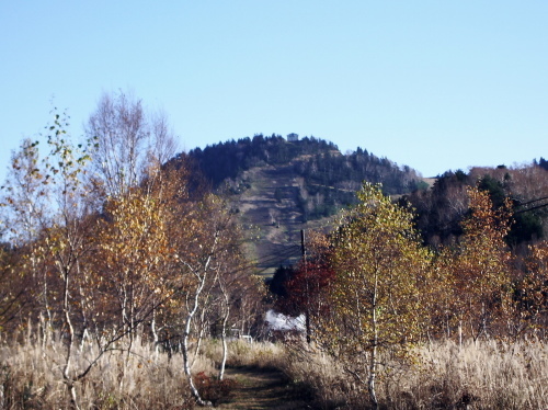 紅葉の松川渓谷、志賀高原の旅（１０月２４日）_c0160933_21191917.jpg