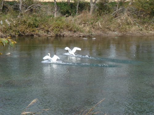 b0207642_14134215.jpg