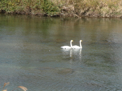 b0207642_1414296.jpg
