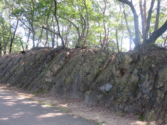 f0202151_21191970.jpg