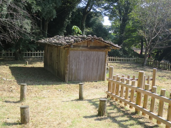 f0202151_21262972.jpg