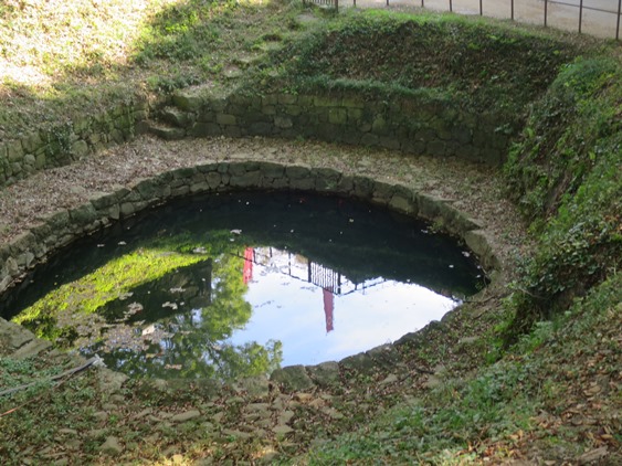 f0202151_219845.jpg