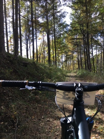 b0164252_00253131.jpeg