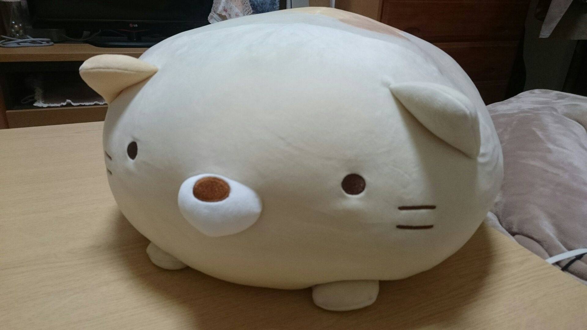 ねこ型大福クッション W メガネのノハラ イオン洛南店 トゥインクルキッズ メガネのノハラ イオン洛南店 Staff Blog Nohara
