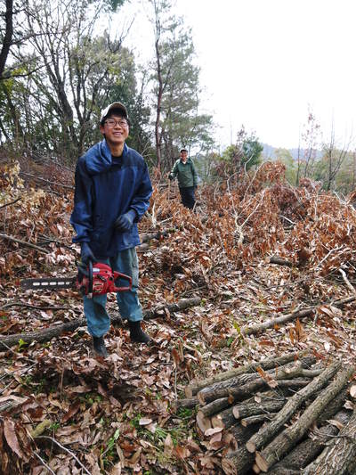 原木しいたけ 平成28年度も11月上旬からの出荷にむけて現在の栽培地の様子と2年間の栽培記録(後編)_a0254656_17294720.jpg