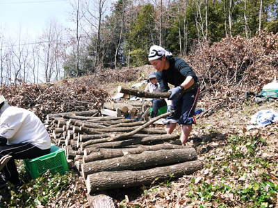 原木しいたけ 平成28年度も11月上旬からの出荷にむけて現在の栽培地の様子と2年間の栽培記録(後編)_a0254656_18343347.jpg