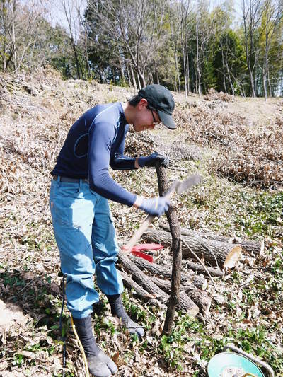 原木しいたけ 平成28年度も11月上旬からの出荷にむけて現在の栽培地の様子と2年間の栽培記録(後編)_a0254656_1843067.jpg