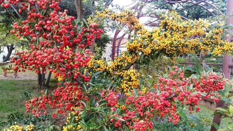 c0190960_2058387.jpg