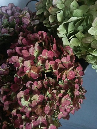 c0172261_6325675.jpg