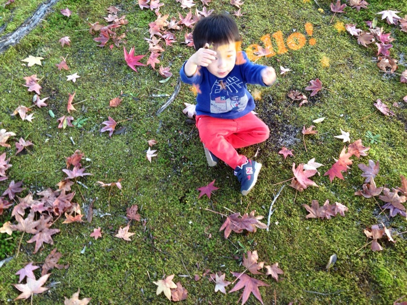 a0295764_13431108.jpeg