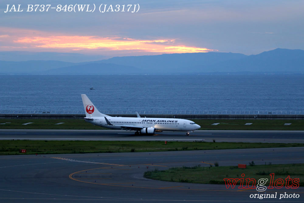 ‘16年 中部国際空港(ｾﾝﾄﾚｱ)ﾚﾎﾟｰﾄ ･･･ ＪＡＬ／ＪＡ３１７Ｊ_f0352866_1422965.jpg