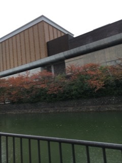 f0363168_20353493.jpeg