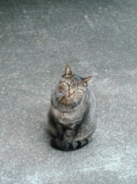 c0162773_01144794.jpg