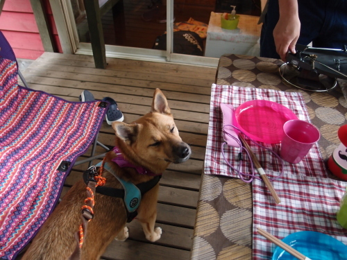 c0364176_13414961.jpeg