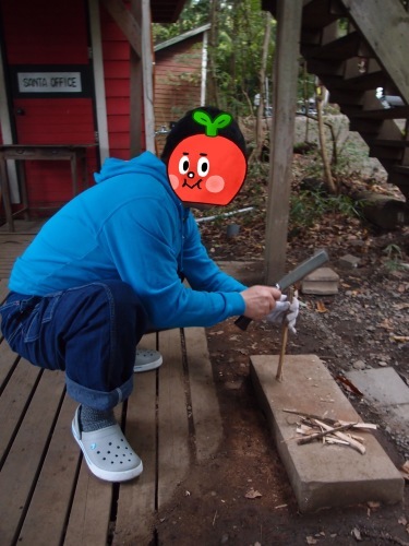 c0364176_13421787.jpeg