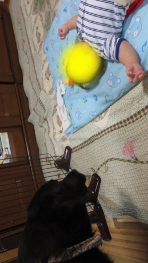 e0160787_00184978.jpeg