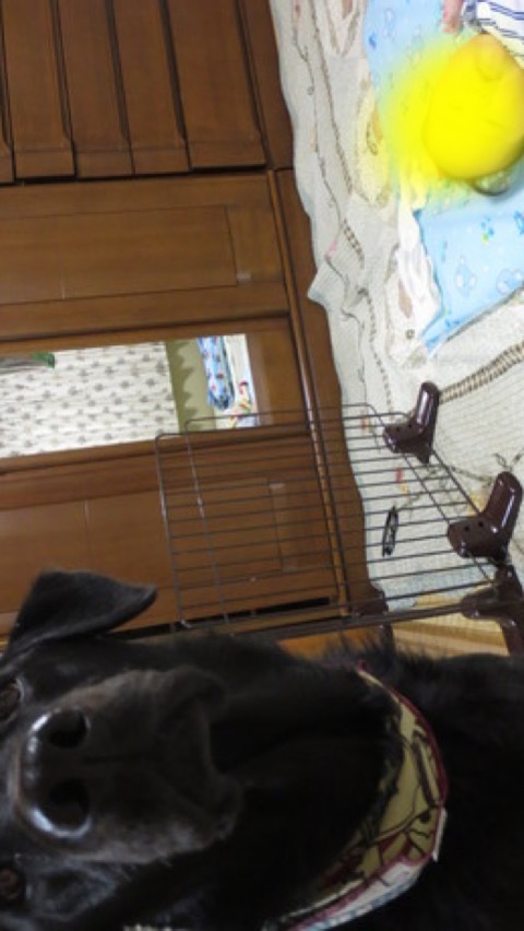 e0160787_00210303.jpeg