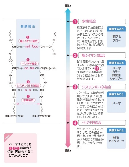 ドライヤーで結合をつなげる重要性。。。。。_b0210688_20315694.jpg