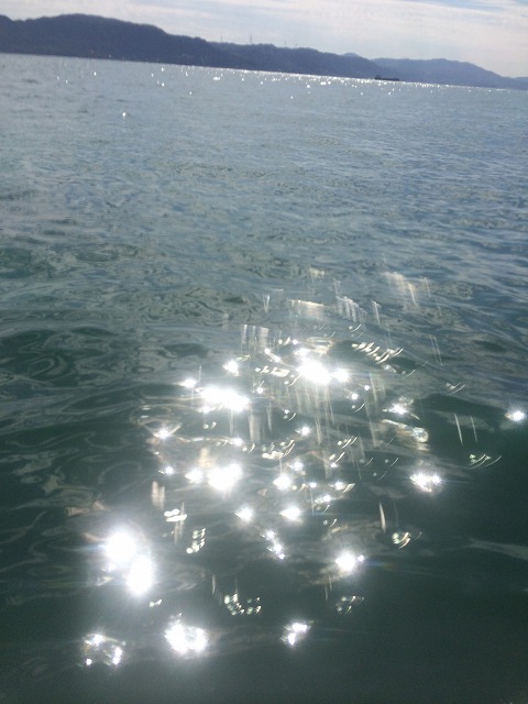 早い・・・_d0268290_064210.jpg